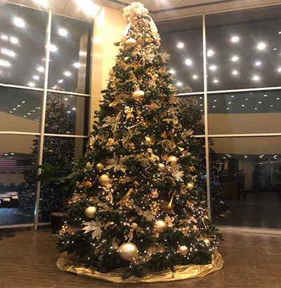 Interior Plant Design